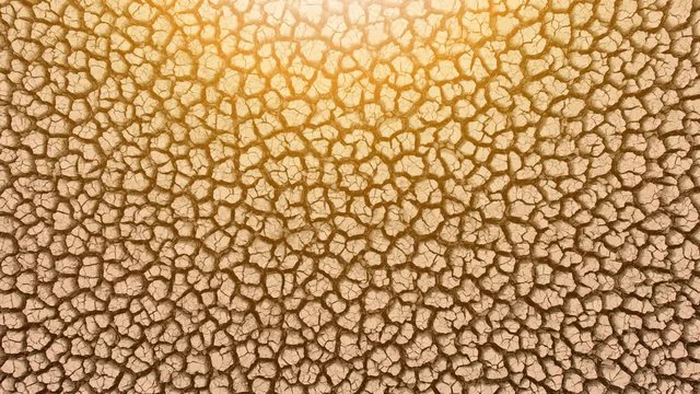 The land is arid and parched with golden light. The concept of ecological disaster in nature.