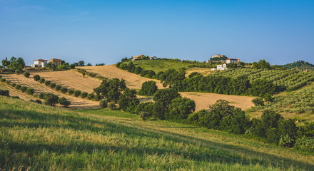 Fototapeta na wymiar rural landscape in the Marche region in Italy near Fermo. Summer landscape