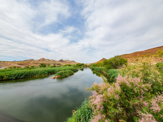 Fototapeta na wymiar Beautiful river landscape of the Las Vegas Wash trail