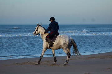 horse riding on the beach with a sunset, water, sand. Girls having fun
