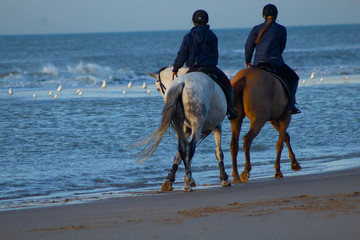 horse riding on the beach with a sunset