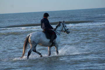 horse riding on the beach with a sunset, water, sand. Girls having fun