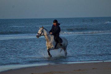 horse riding on the beach with a sunset, water, sand. Girls having fun