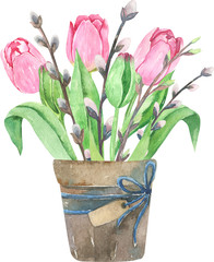 Watercolor tulips composition. Bouquets of flowers, leaves, willow and branch in pots. Spring compositions of tulips.