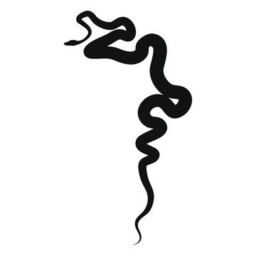 Snake reptile animal logo icon silhouette sign Hand drawn Modern magic creative design Fashion print for clothes cards picture banner poster flyer badge for websites Vector illustration