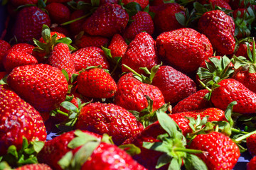 fresh strawberries