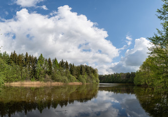 a wonderful shot of a pond in which many trees are  reflected with a cloudy background