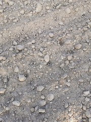 Textura de tierra y huellas