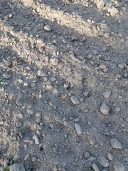 Textura de tierra y huellas