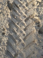 Textura de tierra y huellas