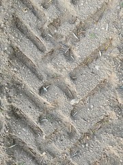 Textura de tierra y huellas