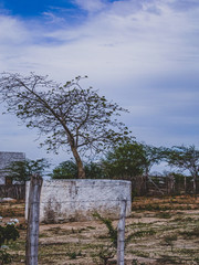 Imagem de uma região rural no sertão do cariri. Conta com a caatinga como bioma, exclusivamente...