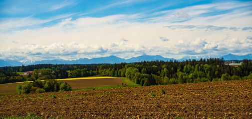 Fototapeta na wymiar Panoramic view of the alps with a forest and farm ground in the foreground