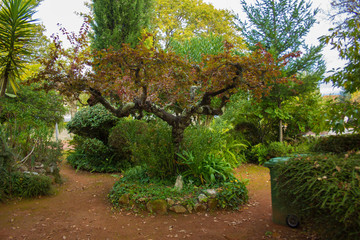 Jardim Pedrogão Grande
