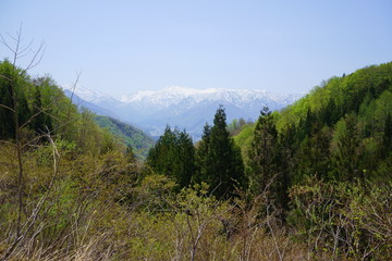 新緑と冠雪の山が清々しい雪国の春の風景