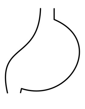 black outline stomach anatomy clip art preview