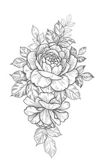 Hand drawn Floral Composition with Roses