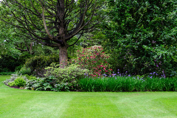 Minimalist garden landscape with trees, bushes and different plants in a cloudy day in Scotland, United Kingdom, typical British cottage garden arrangement, beautiful outdoor floral background
