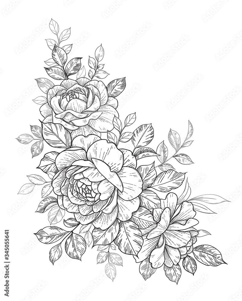 Wall mural hand drawn floral composition with roses and leaves