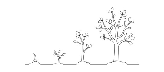 Continuous line drawing of step of tree growth. Vector illustration © MuhammadZulfan