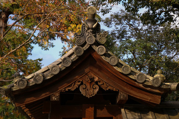 Japanese temple in the park