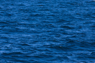 Surface of a calm blue sea. Selective focus. Shallow depth of field