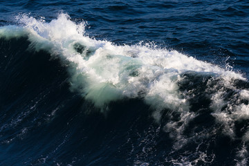 White crest of a sea wave. Selective focus. Shallow depth of field