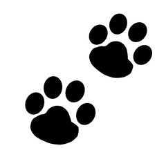 犬の肉球と足跡 © おうちライフチャンネル