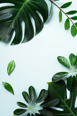 Tropical palm leaf frame on blue background with copy space. Flat lay. Top view. Summer or spring nature concept.