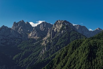 Obraz premium Detail Of Steiner Alpen - Kamniske Alpe