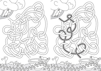 Birds maze
