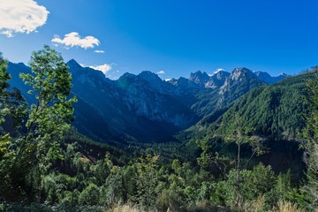 Fototapeta na wymiar Detail Of Steiner Alpen - Kamniske Alpe
