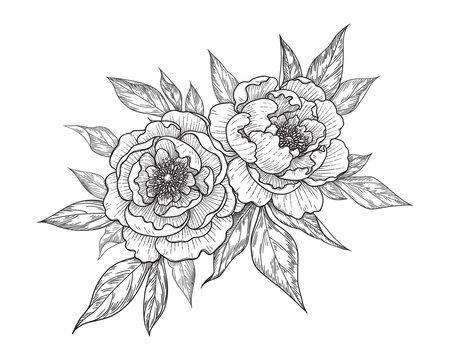 Hand Drawn Floral Bunch with Peony Flowers and Leaves
