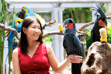 Naklejka premium Soft focus on the background, close-up of a woman dressed in red and a colorful tropical bird