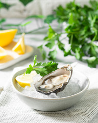 Oyster in a gray bowl with ice on a light gray table. Healthy seafood