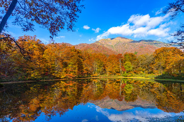 鏡池と三ノ峰と紅葉 
(日本 - 福井 - 鏡池)