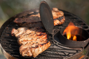 Portable wood-fried grill with grilling meat. Camping grill, smoke, fire, picnic