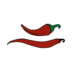 Pepper chili - mexican traditional vegetable. Hand drawn sketch doodle. Vector color illustration for menu, poster, web and package design. Isolated on white background.