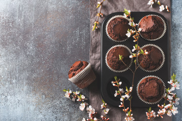 Chocolate cacao muffins flat lay with flowers branches, mothers or fathers day concept