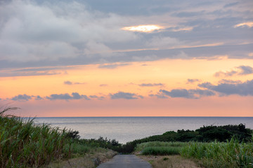 Fototapeta na wymiar 日本最南端、波照間島・サトウキビ畑の夕景