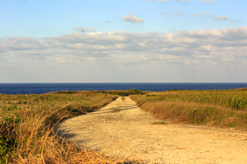 日本最南端、波照間島・サトウキビ畑の夕景