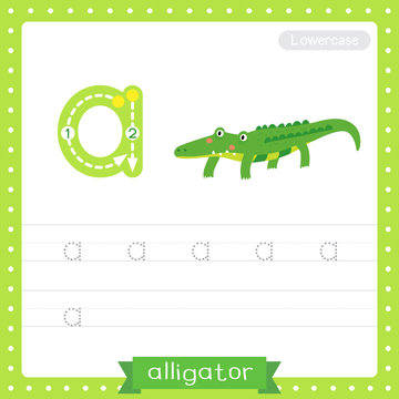 Letter A lowercase tracing practice worksheet. Alligator