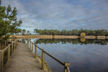 Fototapeta premium Lagoa de Pataias
