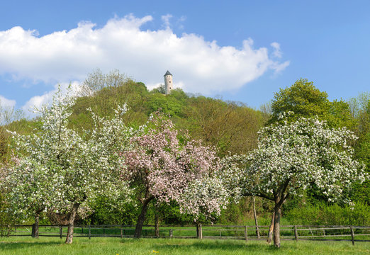 Plesseburg G&ouml;ttingen