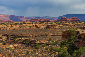 Fototapeta premium Southwest usa National Parks. Canyonlands National Park is a national park located in southeastern Utah, near the city of Moab