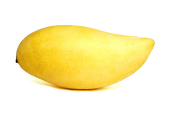 Famous Thai Fruit - Single Yellow Barracuda Mango Isolated white background - Delicious sweet juicy...