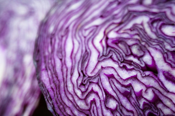 Obraz premium Cut red cabbage head.