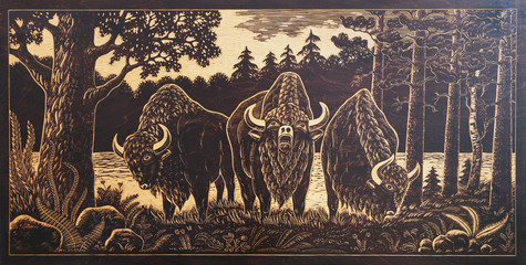 The picture shows three bison in the Bialowieza Forest. The work is done by woodcarving.Carving Pictures on wood. © lial88