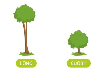 Obraz premium Short and long antonyms word card flat vector template. Flashcard for english language learning. Big and small opposites concept. Huge and tiny trees illustration with typography