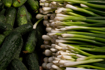 variety of colorful vegetables on counter of farmer's market. green onions and cucumbers. Vegetables are source of vitamins and health. concept of strengthening immunity by nature